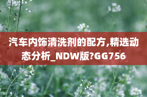 汽车内饰清洗剂的配方,精选动态分析_NDW版?GG756