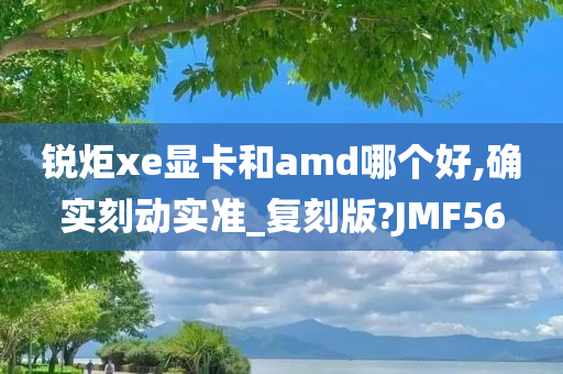 锐炬xe显卡和amd哪个好,确实刻动实准_复刻版?JMF56