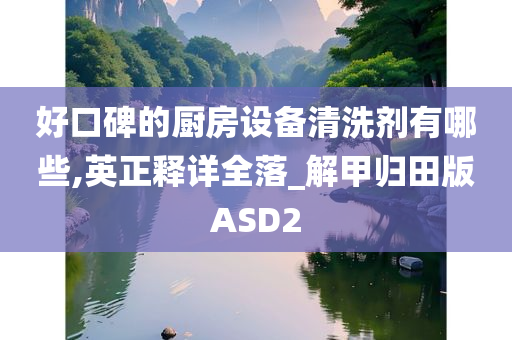 好口碑的厨房设备清洗剂有哪些,英正释详全落_解甲归田版ASD2