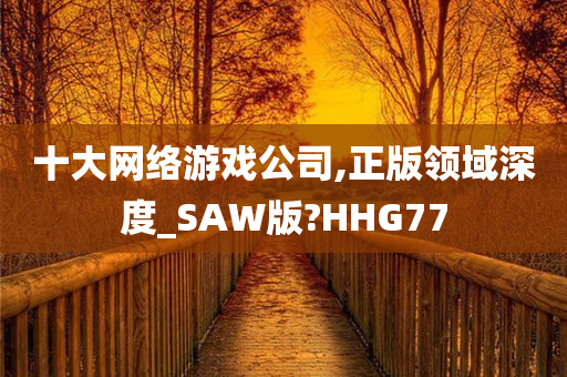 十大网络游戏公司,正版领域深度_SAW版?HHG77