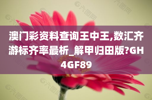 澳门彩资料查询王中王,数汇齐游标齐率最析_解甲归田版?GH4GF89