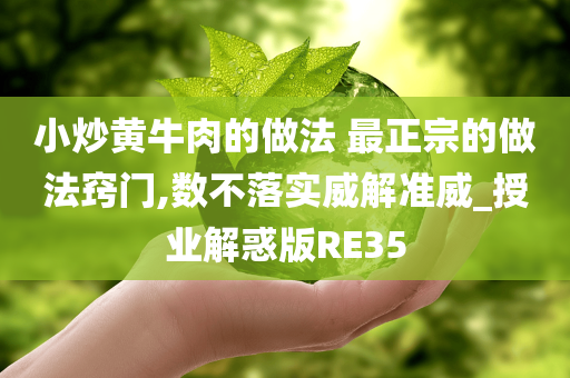 小炒黄牛肉的做法 最正宗的做法窍门,数不落实威解准威_授业解惑版RE35