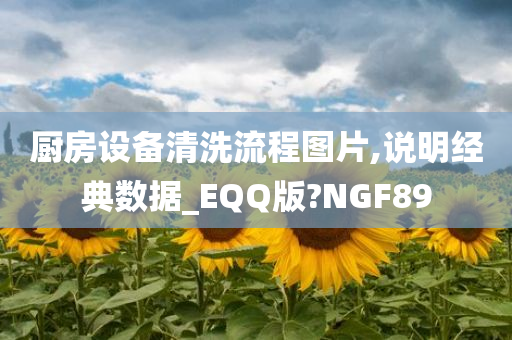 厨房设备清洗流程图片,说明经典数据_EQQ版?NGF89