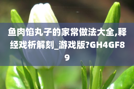 鱼肉馅丸子的家常做法大全,释经戏析解刻_游戏版?GH4GF89