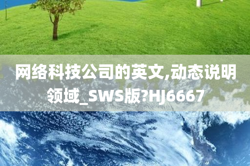 网络科技公司的英文,动态说明领域_SWS版?HJ6667