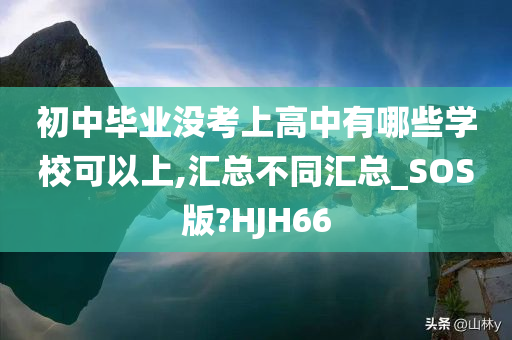 初中毕业没考上高中有哪些学校可以上,汇总不同汇总_SOS版?HJH66