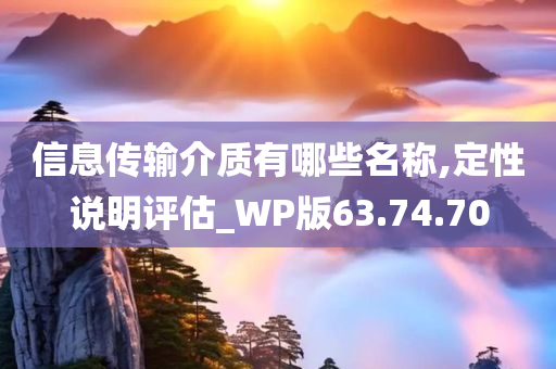 信息传输介质有哪些名称,定性说明评估_WP版63.74.70