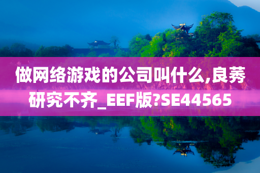 做网络游戏的公司叫什么,良莠研究不齐_EEF版?SE44565