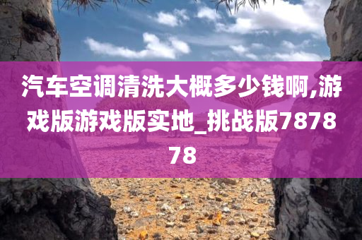 汽车空调清洗大概多少钱啊,游戏版游戏版实地_挑战版787878