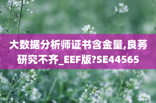 大数据分析师证书含金量,良莠研究不齐_EEF版?SE44565