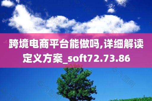 跨境电商平台能做吗,详细解读定义方案_soft72.73.86