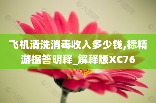 飞机清洗消毒收入多少钱,标精游据答明释_解释版XC76