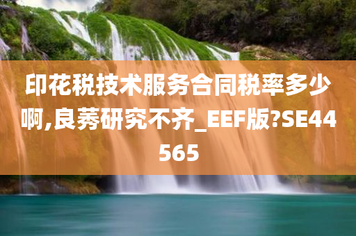 印花税技术服务合同税率多少啊,良莠研究不齐_EEF版?SE44565