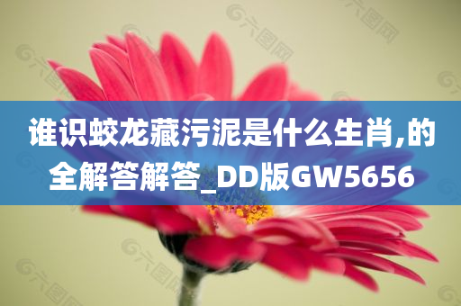 谁识蛟龙藏污泥是什么生肖,的全解答解答_DD版GW5656