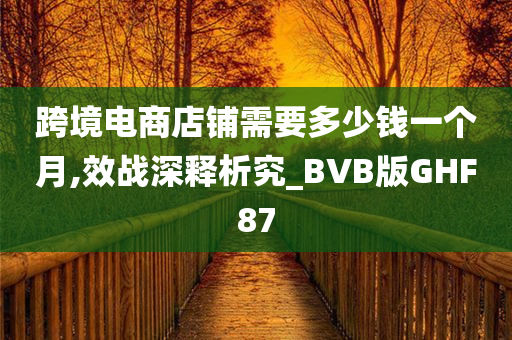 跨境电商店铺需要多少钱一个月,效战深释析究_BVB版GHF87