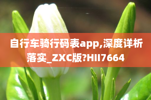 自行车骑行码表app,深度详析落实_ZXC版?HII7664