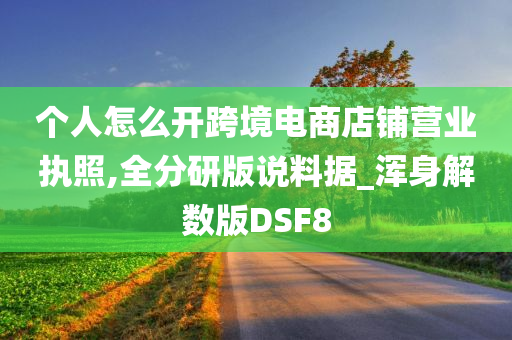 个人怎么开跨境电商店铺营业执照,全分研版说料据_浑身解数版DSF8