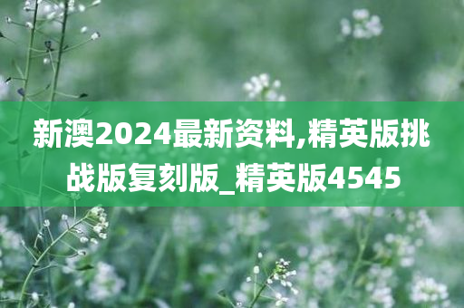 新澳2024最新资料,精英版挑战版复刻版_精英版4545