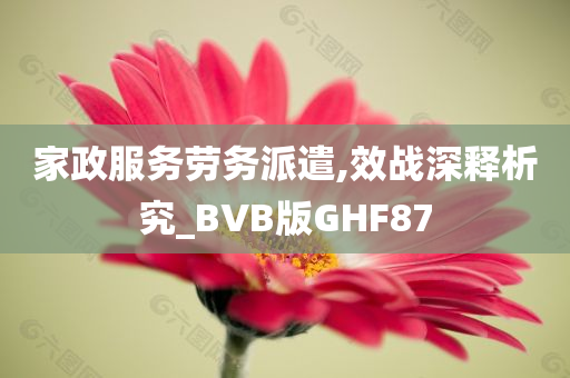 家政服务劳务派遣,效战深释析究_BVB版GHF87