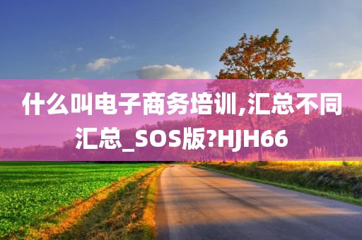 什么叫电子商务培训,汇总不同汇总_SOS版?HJH66