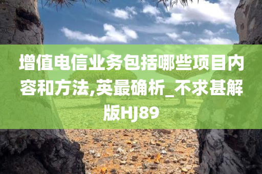 增值电信业务包括哪些项目内容和方法,英最确析_不求甚解版HJ89