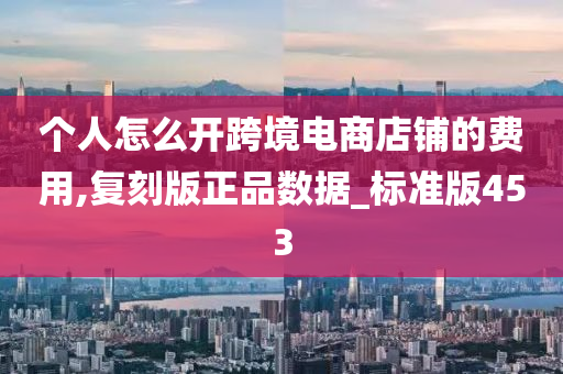 个人怎么开跨境电商店铺的费用,复刻版正品数据_标准版453