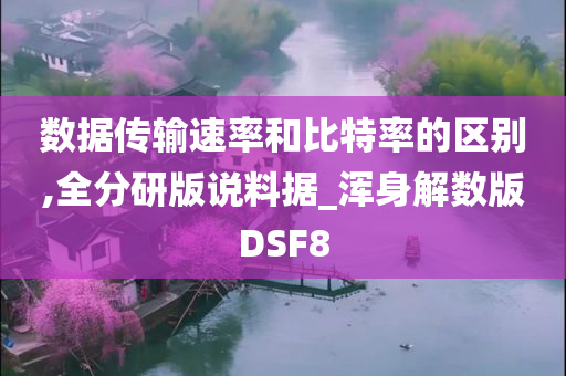 数据传输速率和比特率的区别,全分研版说料据_浑身解数版DSF8