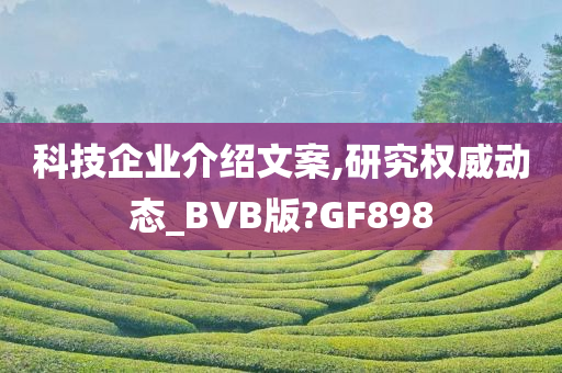 科技企业介绍文案,研究权威动态_BVB版?GF898