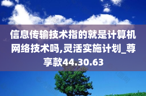 信息传输技术指的就是计算机网络技术吗,灵活实施计划_尊享款44.30.63