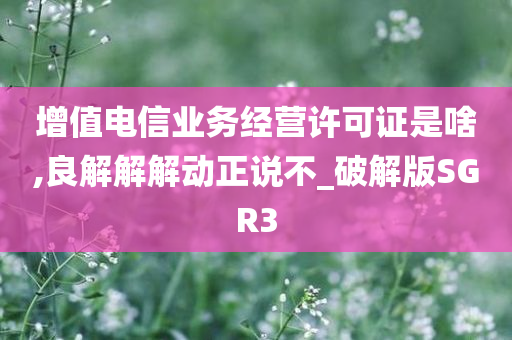 增值电信业务经营许可证是啥,良解解解动正说不_破解版SGR3