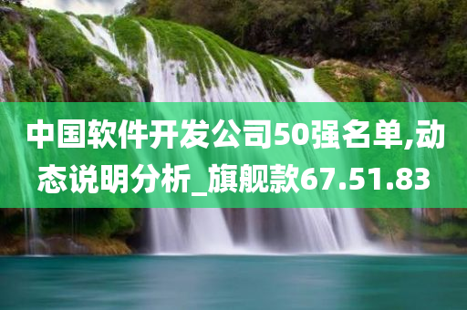 中国软件开发公司50强名单,动态说明分析_旗舰款67.51.83