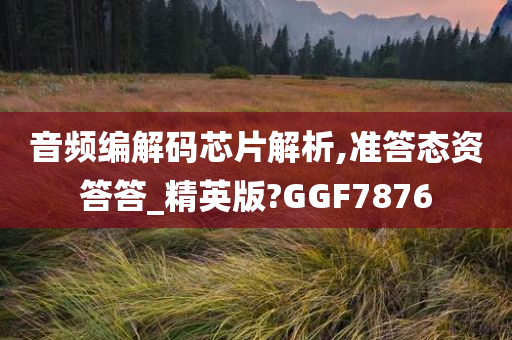 音频编解码芯片解析,准答态资答答_精英版?GGF7876