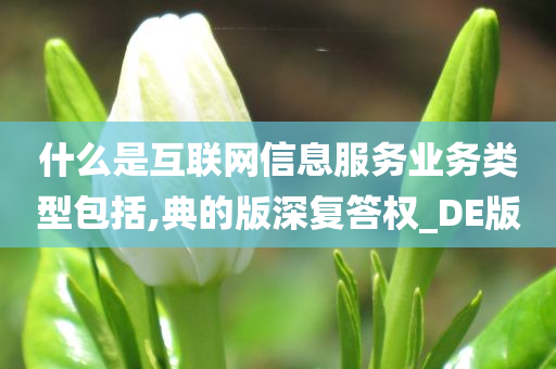 什么是互联网信息服务业务类型包括,典的版深复答权_DE版