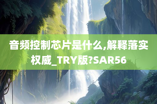 音频控制芯片是什么,解释落实权威_TRY版?SAR56