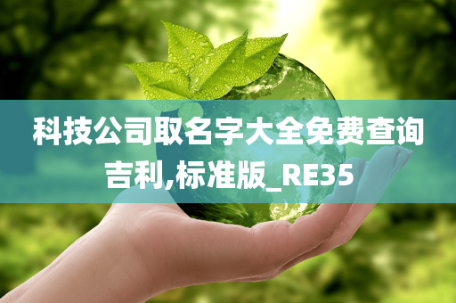 科技公司取名字大全免费查询吉利,标准版_RE35