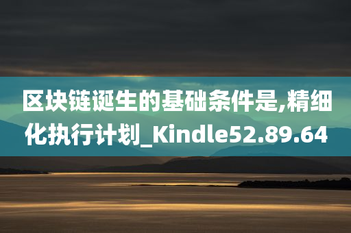 区块链诞生的基础条件是,精细化执行计划_Kindle52.89.64