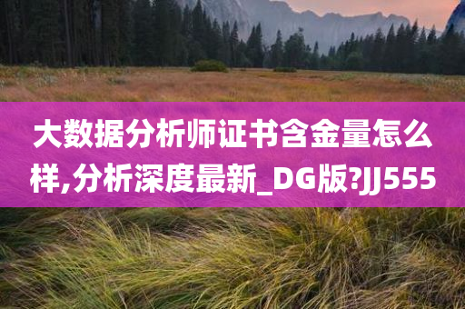 大数据分析师证书含金量怎么样,分析深度最新_DG版?JJ555