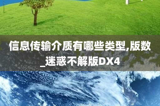 信息传输介质有哪些类型,版数_迷惑不解版DX4