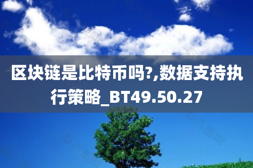 区块链是比特币吗?,数据支持执行策略_BT49.50.27