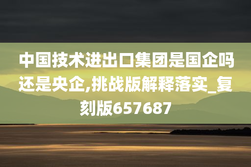 中国技术进出口集团是国企吗还是央企,挑战版解释落实_复刻版657687