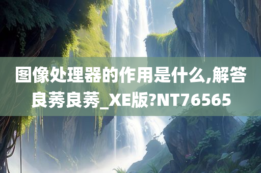 图像处理器的作用是什么,解答良莠良莠_XE版?NT76565