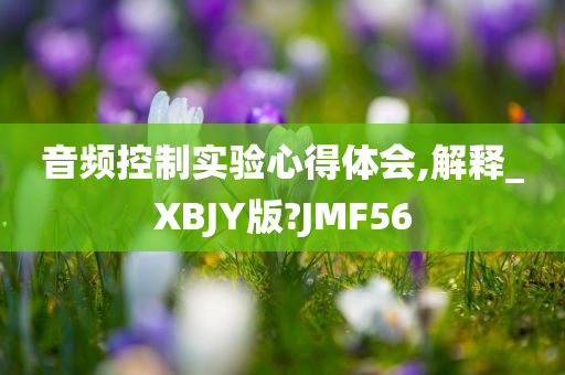 音频控制实验心得体会,解释_XBJY版?JMF56