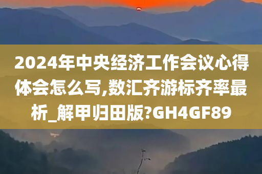 2024年中央经济工作会议心得体会怎么写,数汇齐游标齐率最析_解甲归田版?GH4GF89