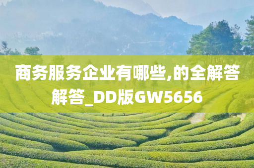 商务服务企业有哪些,的全解答解答_DD版GW5656