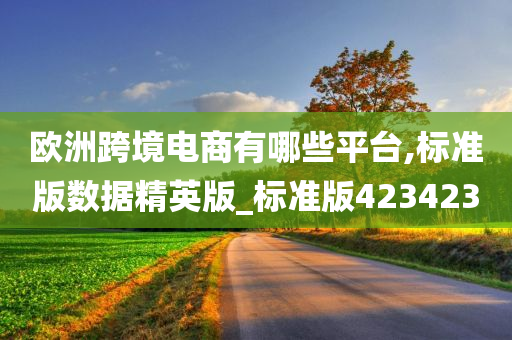 欧洲跨境电商有哪些平台,标准版数据精英版_标准版423423