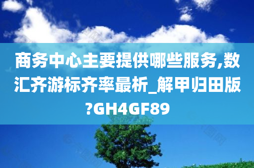 商务中心主要提供哪些服务,数汇齐游标齐率最析_解甲归田版?GH4GF89