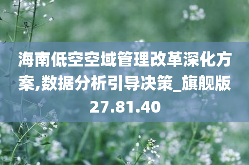 海南低空空域管理改革深化方案,数据分析引导决策_旗舰版27.81.40