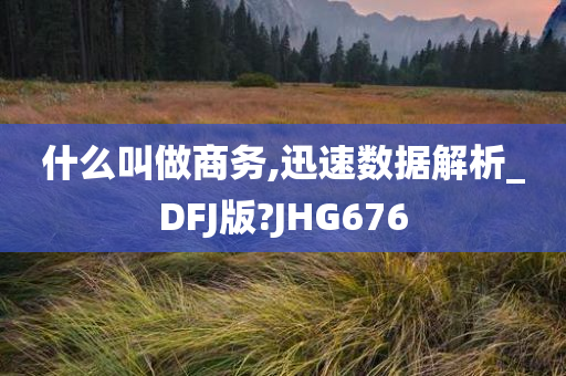 什么叫做商务,迅速数据解析_DFJ版?JHG676