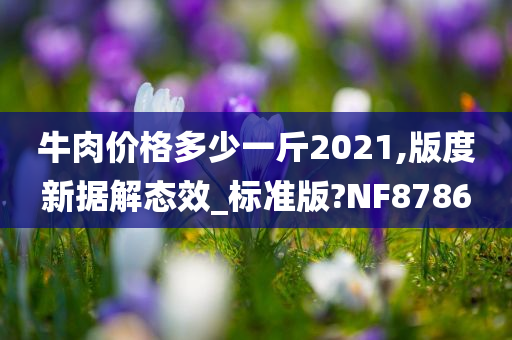 牛肉价格多少一斤2021,版度新据解态效_标准版?NF8786