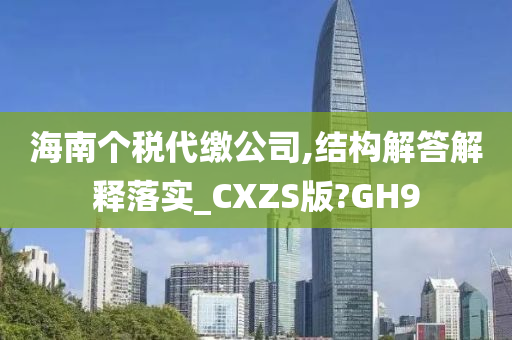 海南个税代缴公司,结构解答解释落实_CXZS版?GH9